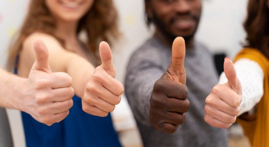 Feedback e Sugestões - Cirandar